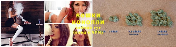 сатива Арсеньев