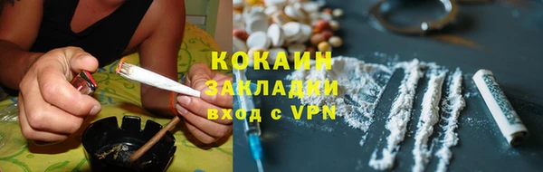сатива Арсеньев