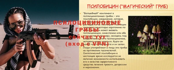 сатива Арсеньев